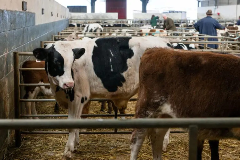 Custom Built Triple Inverter For 43% Energy Saving