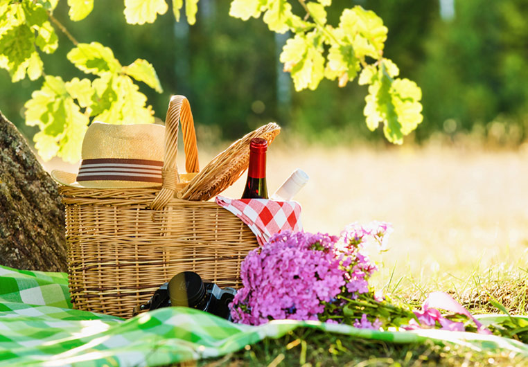summer picnics