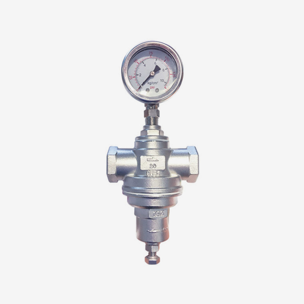 Valve and meter for pumps