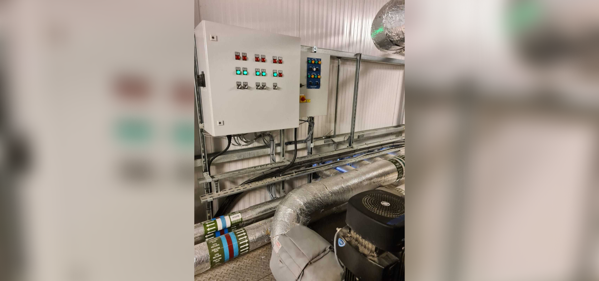 Improved Dual Pump System For A Leading Poultry Processing Business