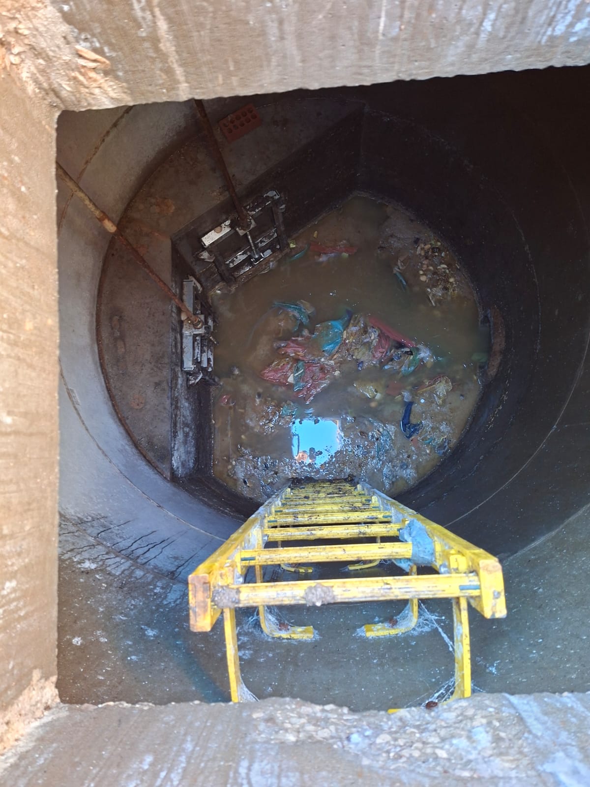 £25,000 per week cost eliminated with Velocity Sentinam Solution